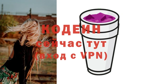 гидра Инта