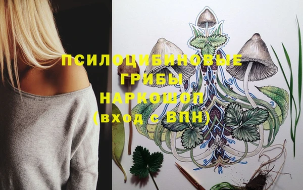 стафф Абаза
