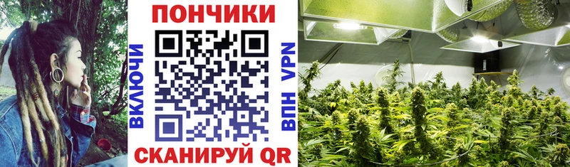 наркошоп  Суоярви  Каннабис SATIVA & INDICA 